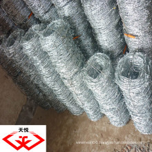 galvanized barbed wire(factory)